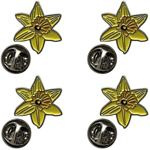 Welsh daffodil enamel - daffodil, &