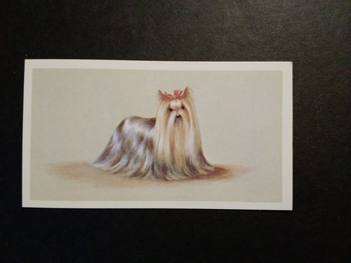 Cigarette cards grandee top - cigarette,