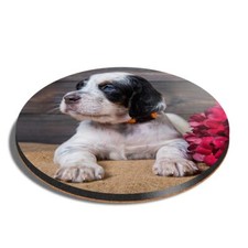 Round mdf coaster blue eye - coaster,