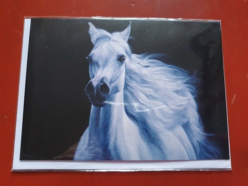 Arabian horse greetings card - greetings,