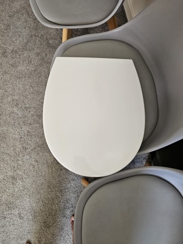 Toilet seat - toilet,