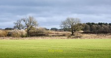 Photo 6x4 Field west of quad