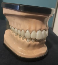 Plastic dental education model