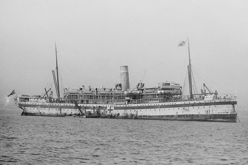 Rp09903 australian liner - rp09903,