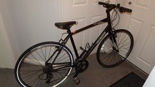Specialized sirrus sport large
