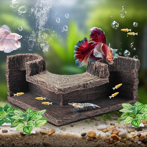 Aquarium cave corner fish - cave,
