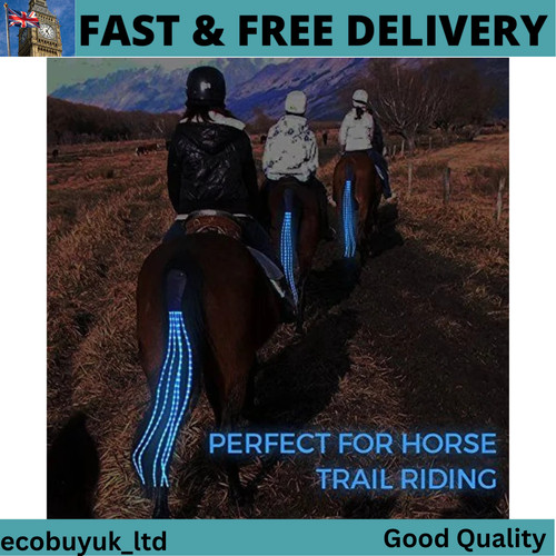 100cm chargeable led horse - chargeable,