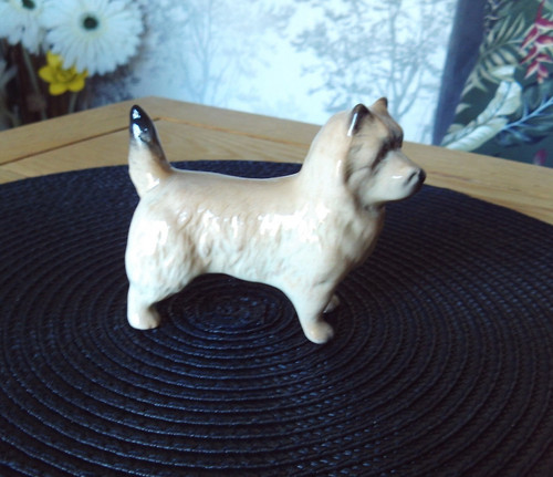 Beswick cairn terrier - terrier, dog
