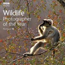 Wildlife Photographer of the