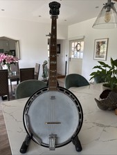 Fender 5 String Banjo