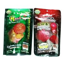 Okiko Cichlid Flowerhorn Fish