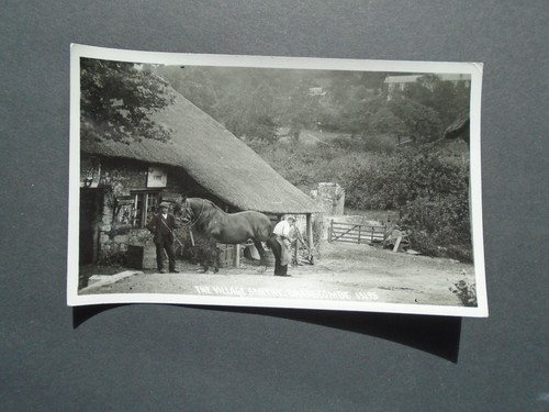 Devon horse beind shod at - ,