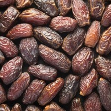 MEDJOOL DATE PALM 6 Fresh Seeds  PHOENIX DACTYLIFERA For Cold Climate UK EU US