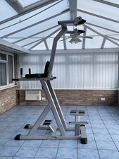 Indigo Fitness Leg Raise Pull Up Chin Up Dip Commercial Gym Exercise Frame