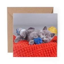 1 x Blank Greeting Card Smokey Grey Kitten British Cat #15984