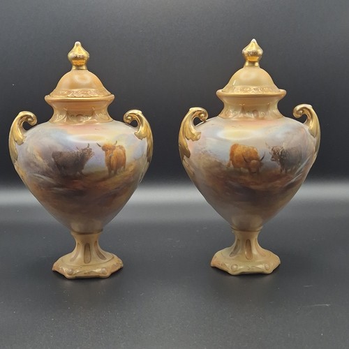 Pair co crown - co,, devon