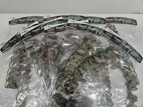 Reptile vivarium terrarium - vivarium,