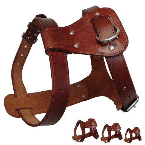 Dog harness genuine leather - harness,