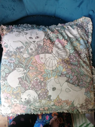 Cushion sanderson rare spot - cushion,