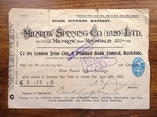 Share Dividend Warrant for