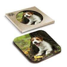 1 x Boxed Square Coasters - Jack Russell Terrier Puppy Dog Pet  #16304