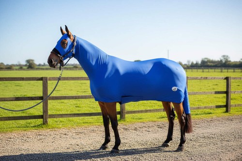 Ruggles lycra body - lycra, suit