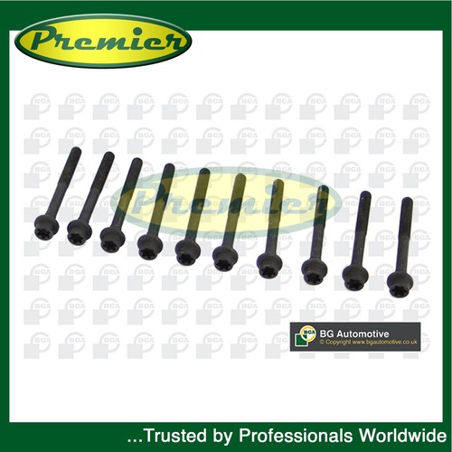 Premier cylinder head bolt - cylinder,