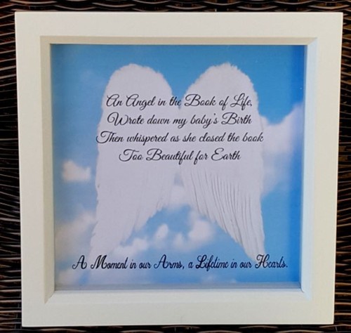 Baby angel wings with verse - angel,