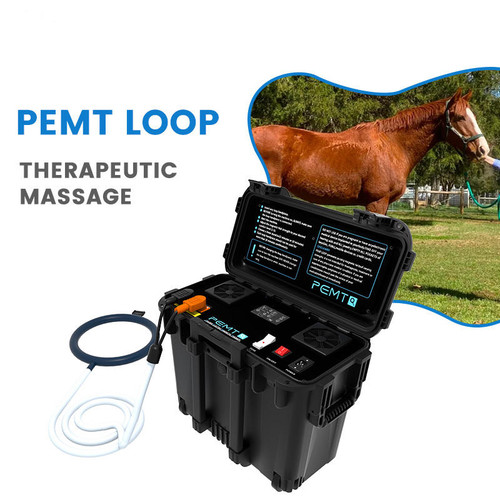 Pemf pulsed electromagnetic - pemf,
