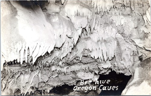Rppc bee hive at - -,