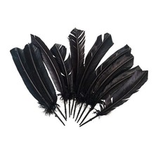 Turkey Feather, 10-12 inch