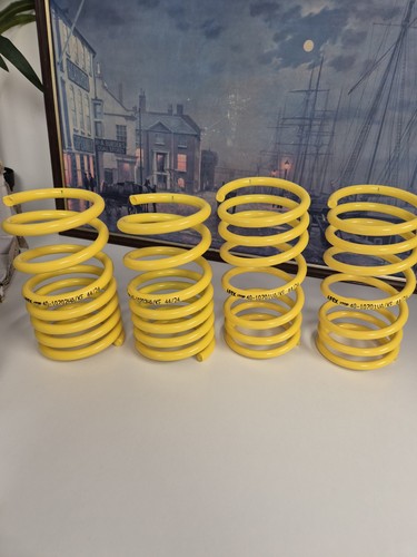 Apex 1070 lowering springs - 40-1070,