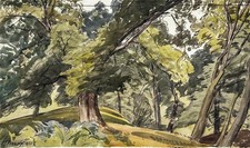 Cedric J. Kennedy (1898-1968)