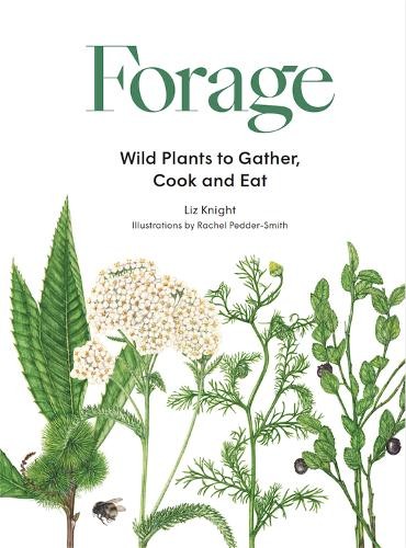 Forage liz knight rachel - forage, by