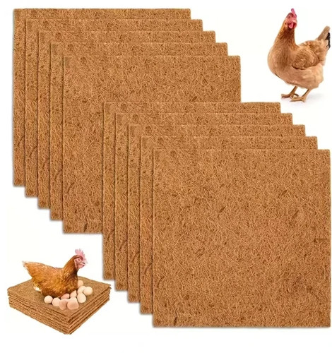 Pack chicken nest - 10,