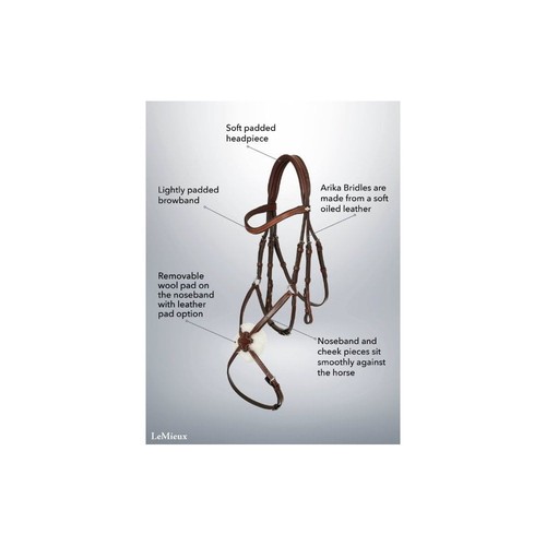 Lemieux arika grackle - lemieux, bridle