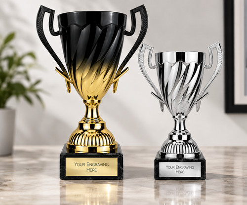 Personalised engraved trophy - engraved,