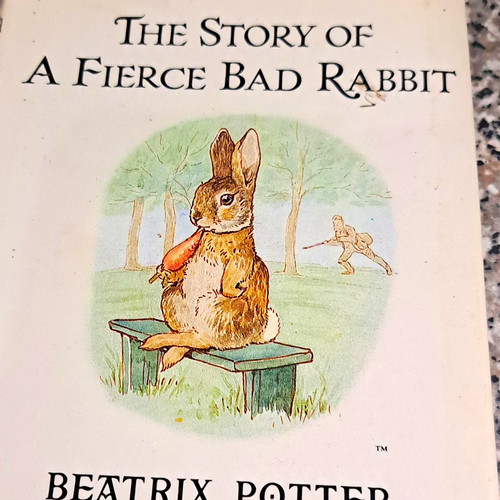 The story fierce bad - the,