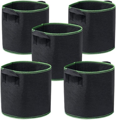 10pcs gallon plant - gallon,
