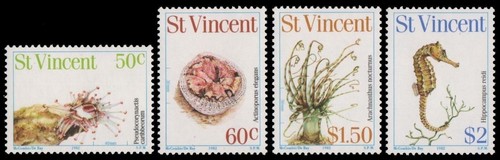 Vincent 1983 marine life - st,