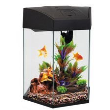 Hexagonal Aquarium