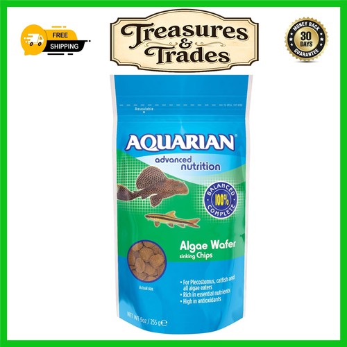 Sinking algae wafers - algae, fish