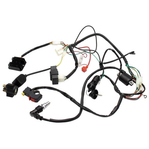 Full wire loom - full, harness