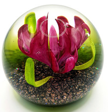 Caithness Springtime vintage