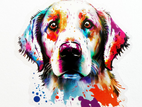 Cute labrador dog inch - cute,