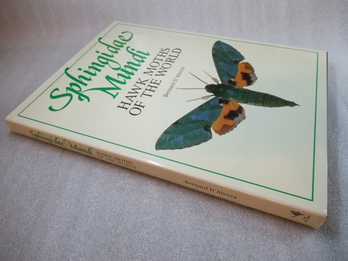 Sphingidae mundi hawk moths - sphingidae,