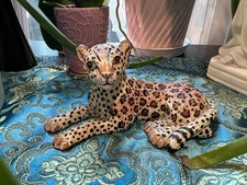 Vintage Basil Matthews