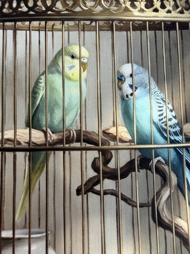 Budgie pair victorian birdcage - budgie,