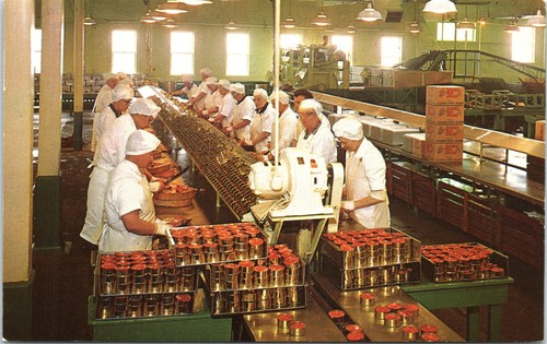 Postcard alaska salmon cannery - postcard,