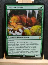 Evercoat Ursine - Bloomburrow Commander - Rare - NM (see pics) MTG